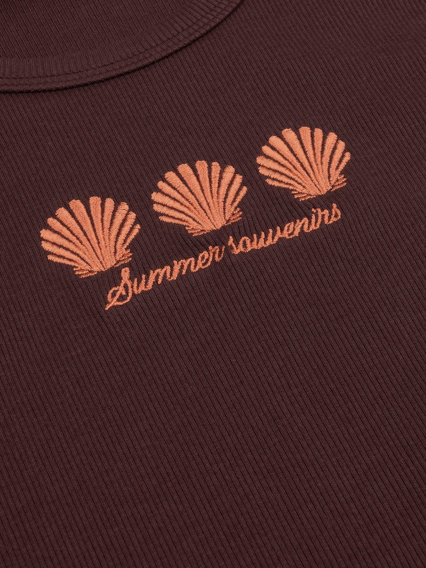 Top sea shells | bruin | Ydence