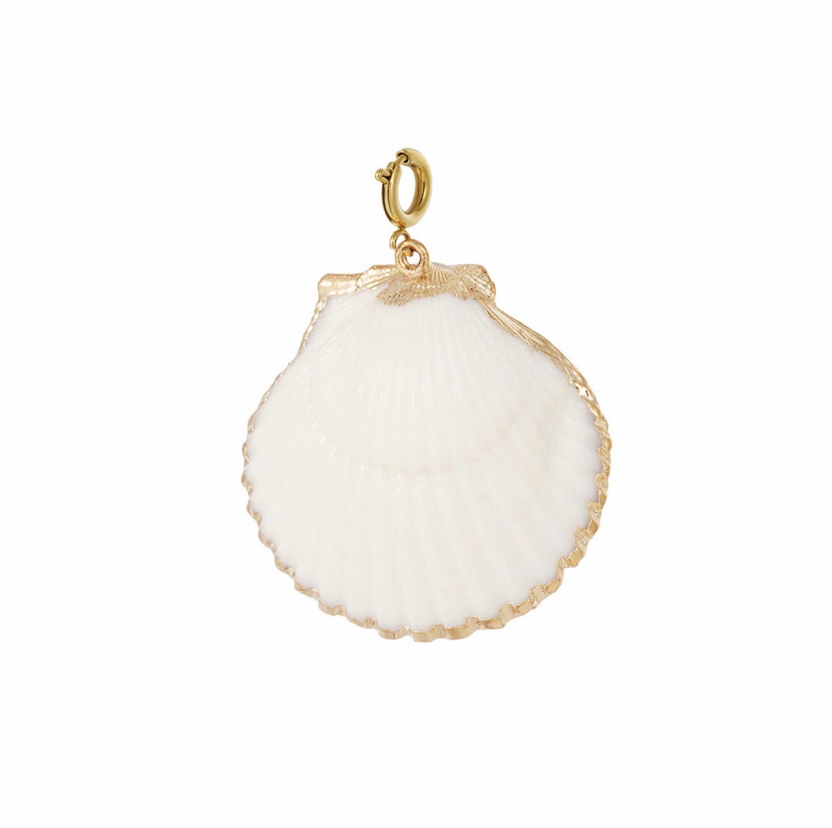 Schelp bedel beige/goud
