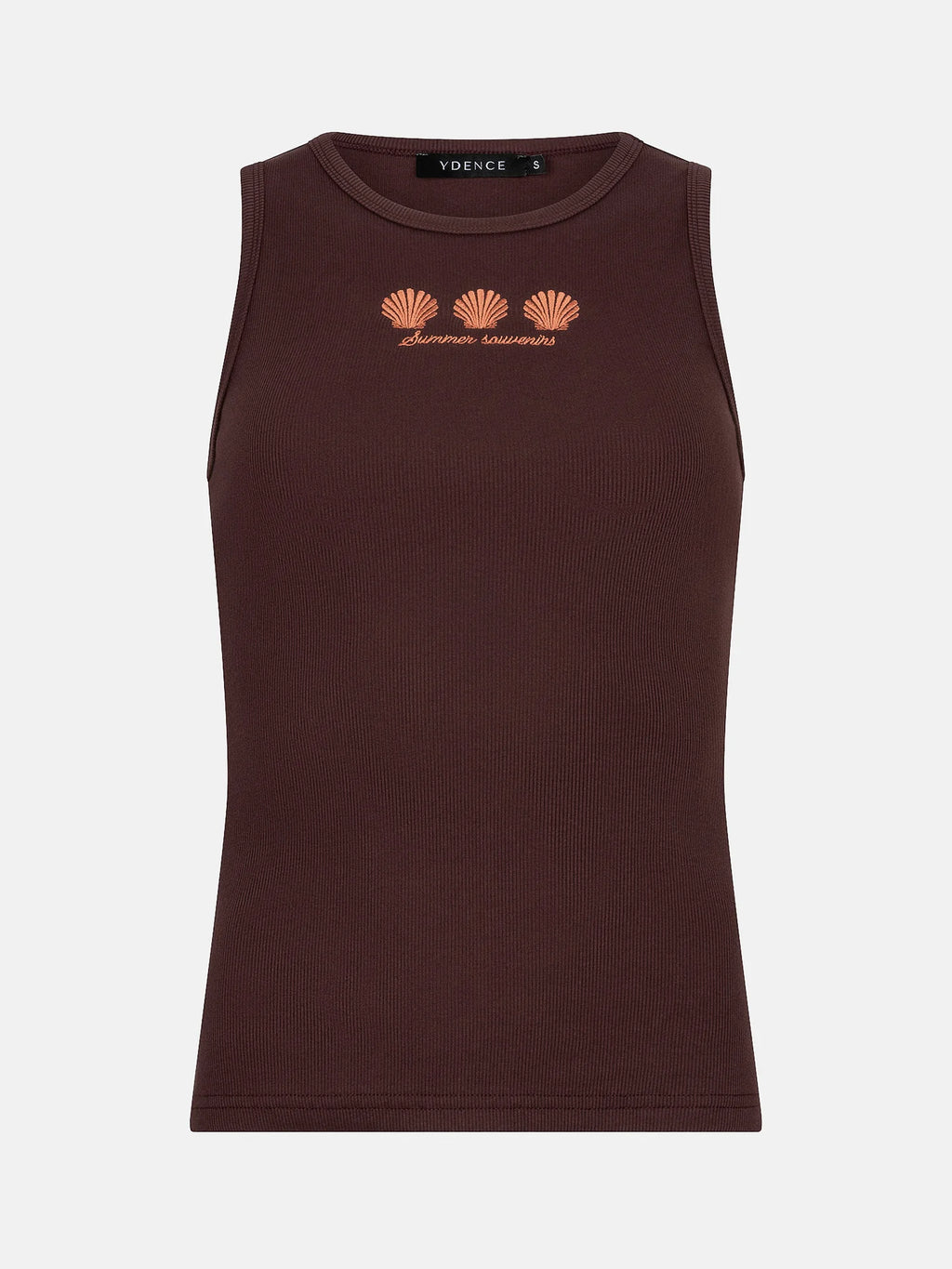 Top sea shells | bruin | Ydence