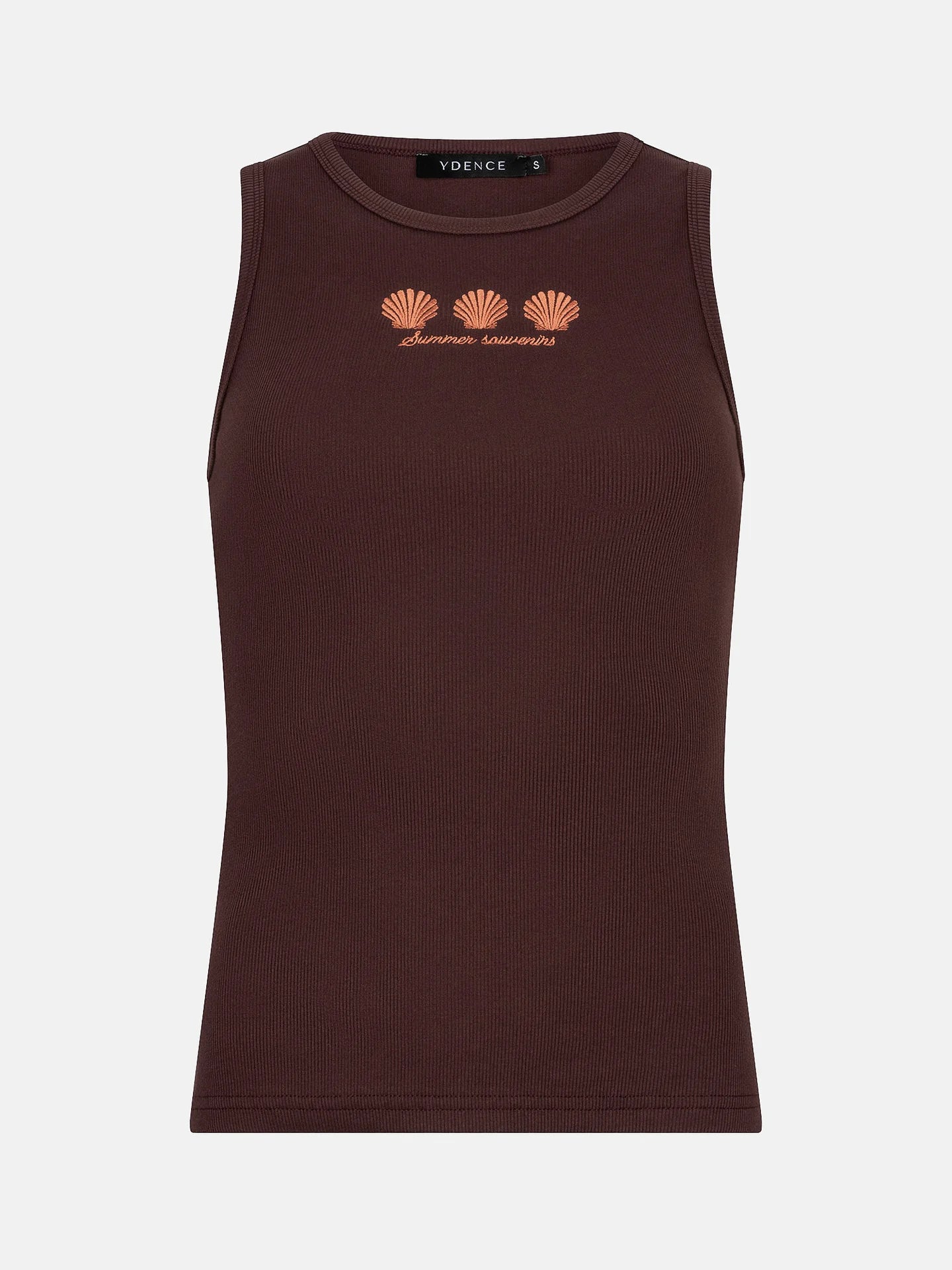 Top sea shells | bruin | Ydence