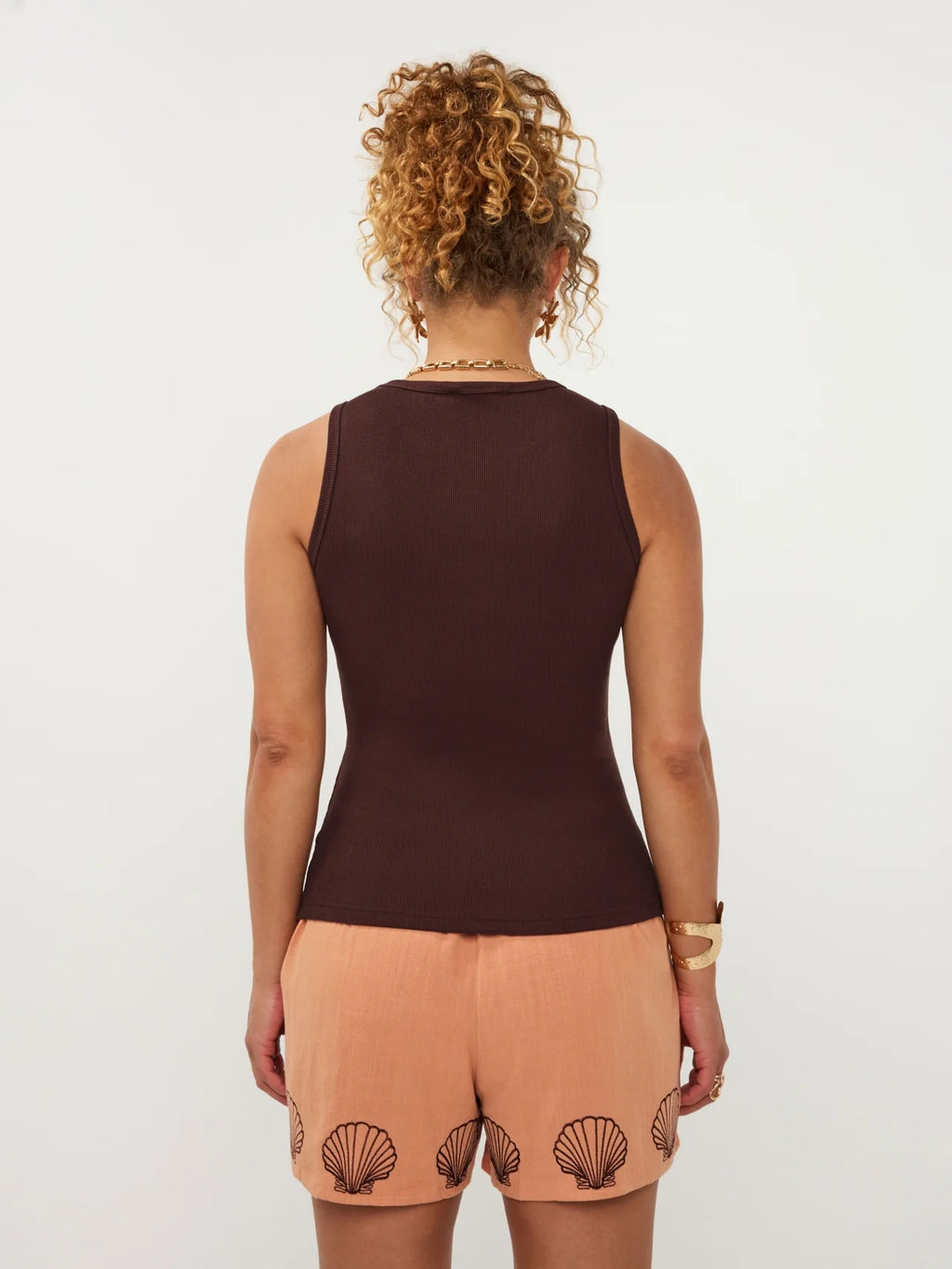 Top sea shells | bruin | Ydence