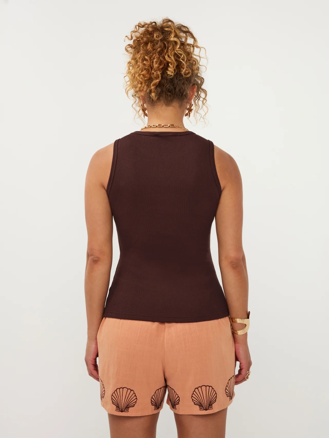 Top sea shells | bruin | Ydence