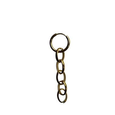 Long chain earring