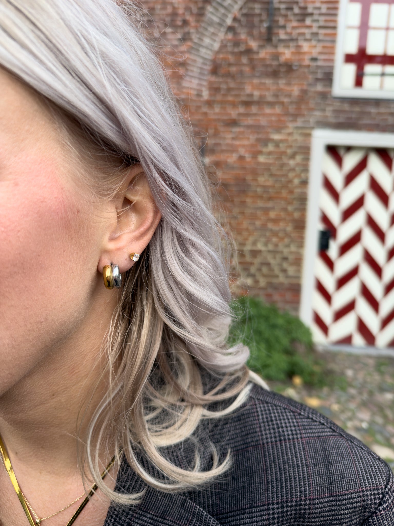 Silver and gold hoops