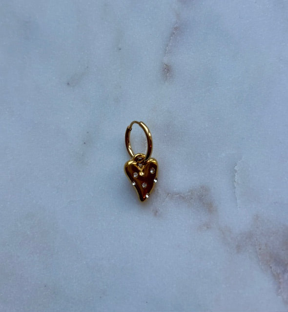 Shine a light earring | goud | per stuk